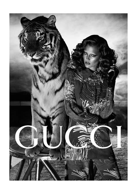gruppo gucci tiger